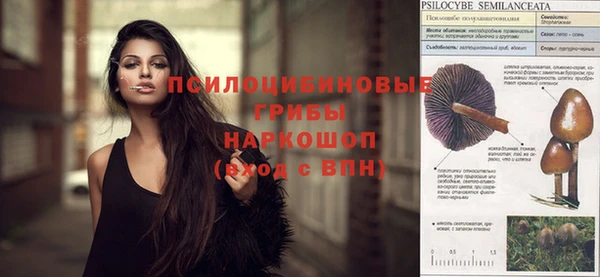 MDMA Богородск