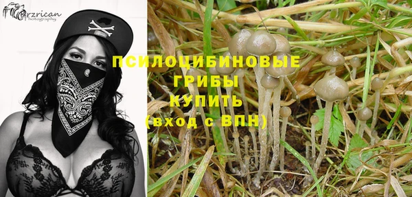МДПВ Богданович