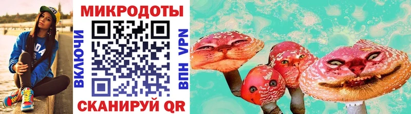 Галлюциногенные грибы прущие грибы  Михайлов 